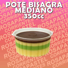 POTE PLASTICO C/BISAGRA MEDIANO