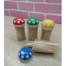 BOTELLA DE ESCARBADIENTES x100